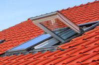 The Bage roof window